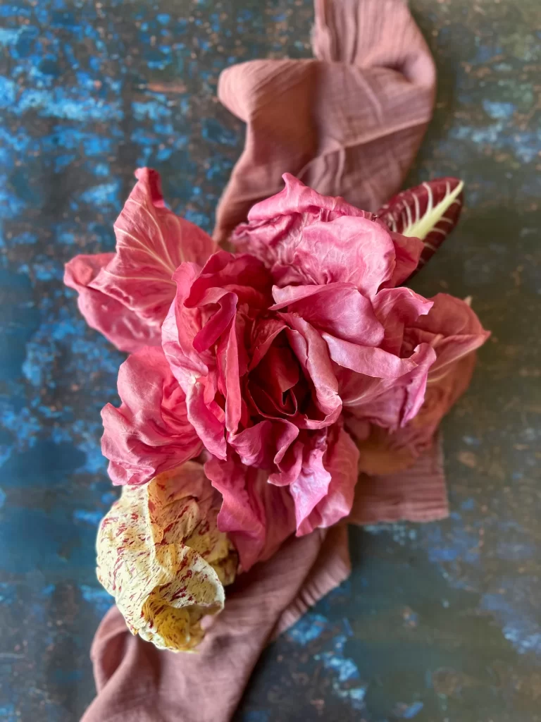 Varieties of Radicchio on a blue table with a pink linen.